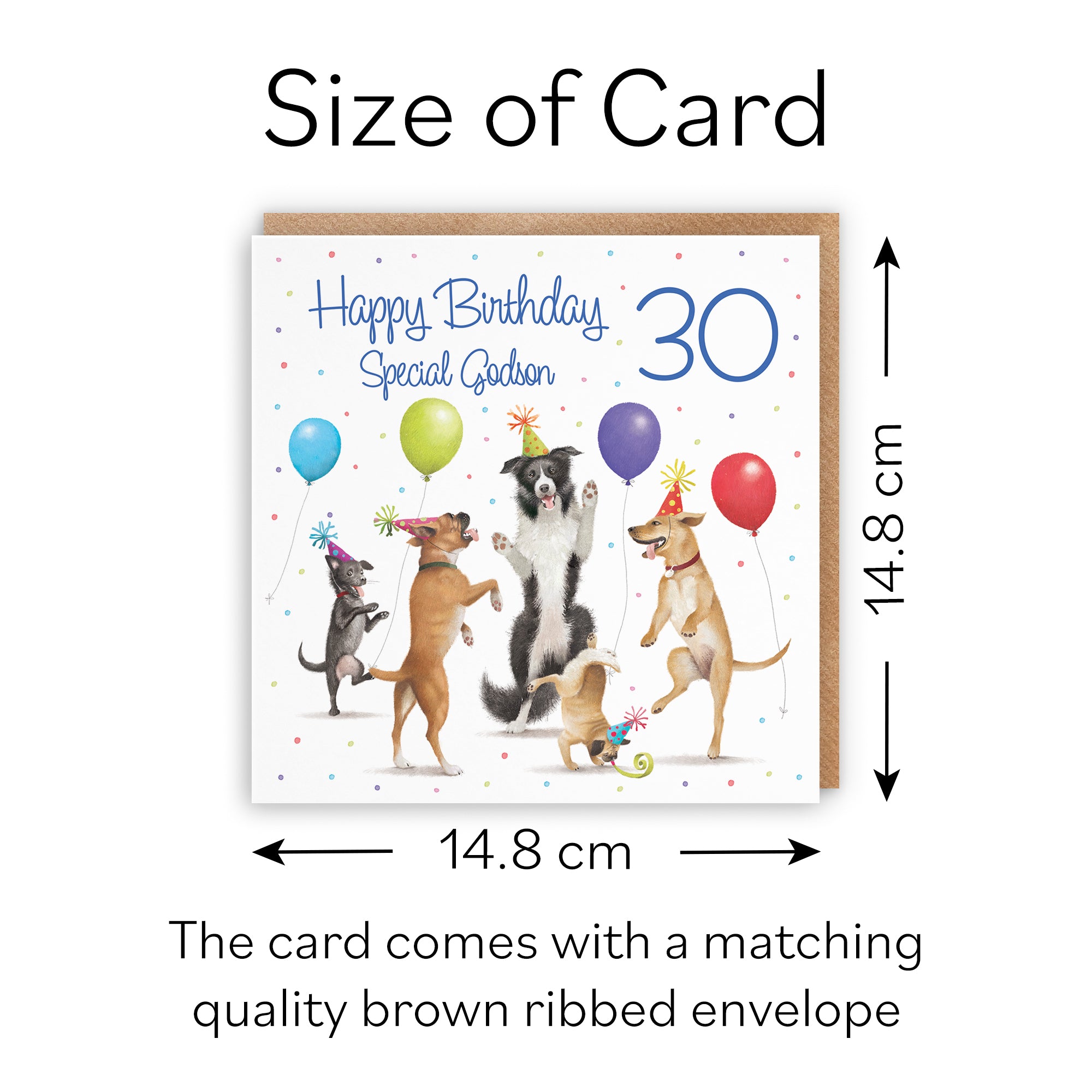 30th Godson Birthday Card Dancing Dogs Milo's Gallery