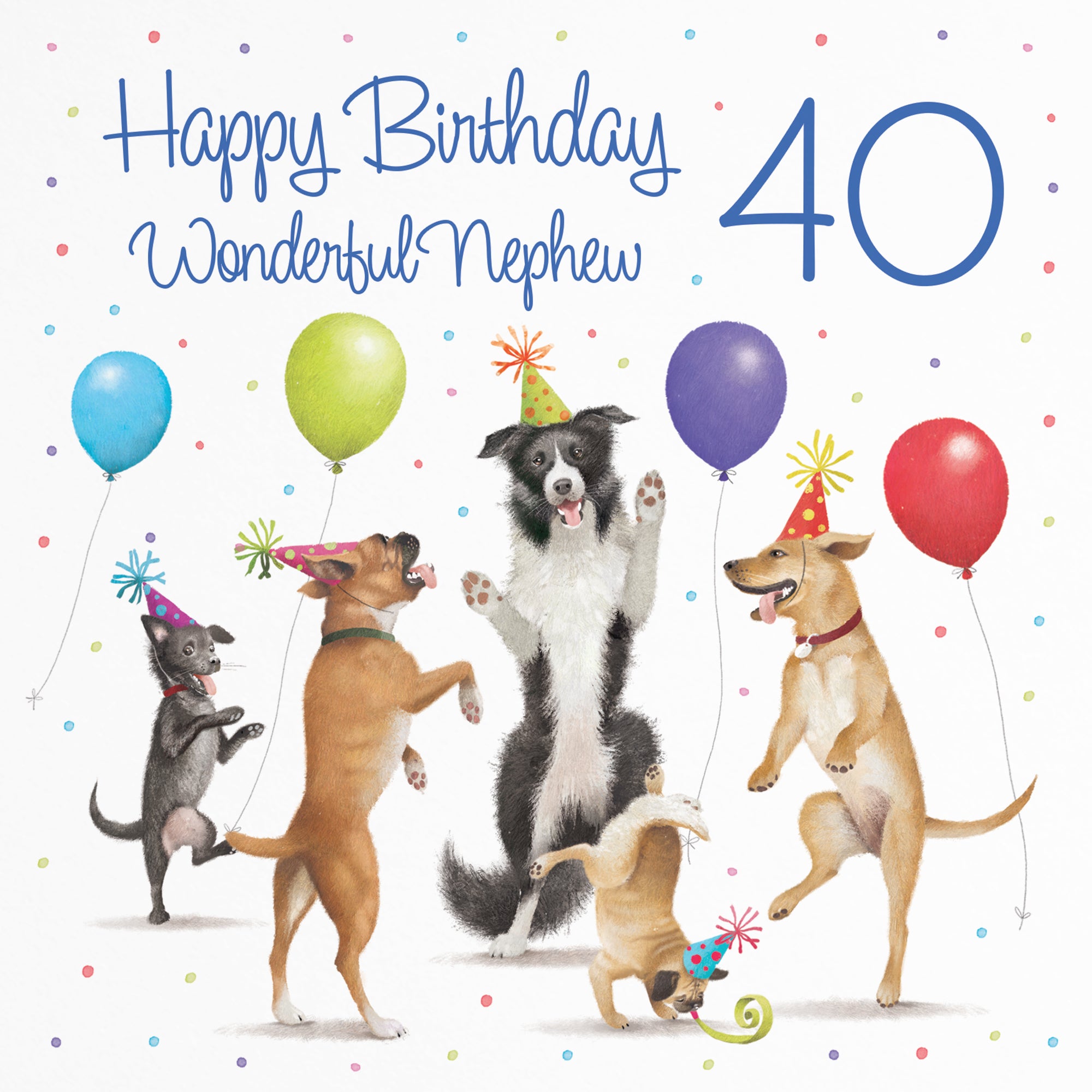 40th Nephew Birthday Card Dancing Dogs Milo's Gallery