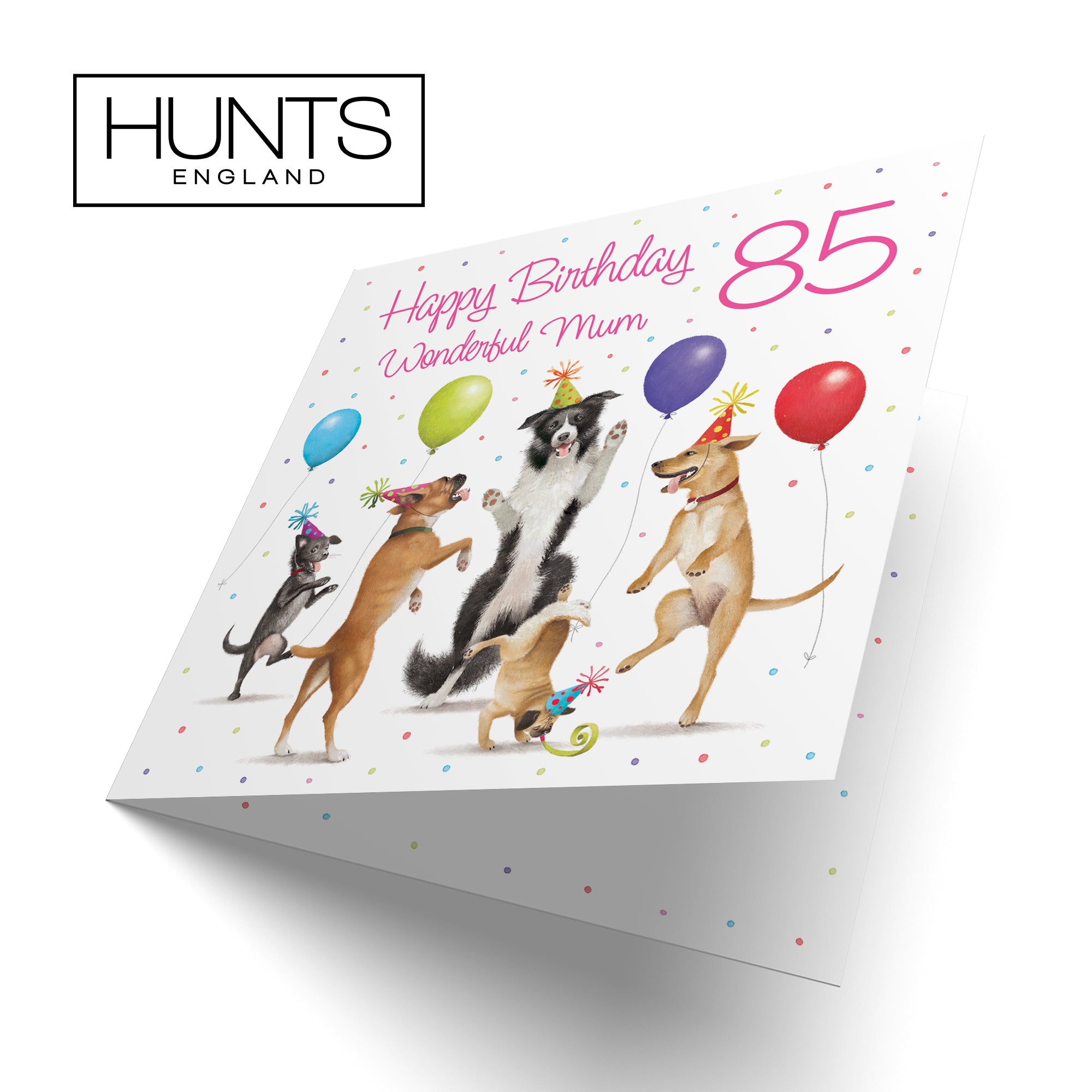 85th Mum Birthday Card Dancing Dogs Milo's Gallery