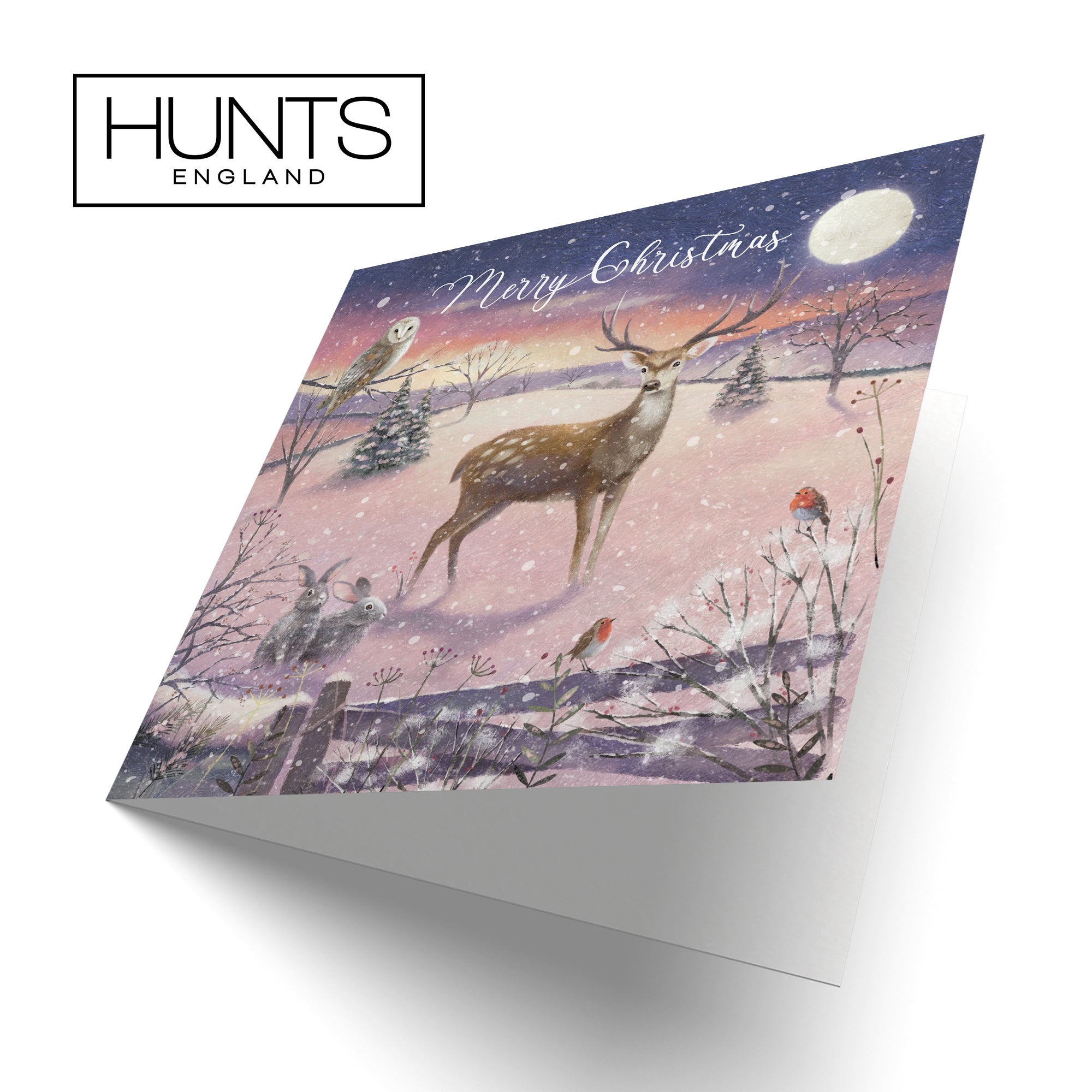 The Stag Pack Of 10 Christmas Cards And Envelopes