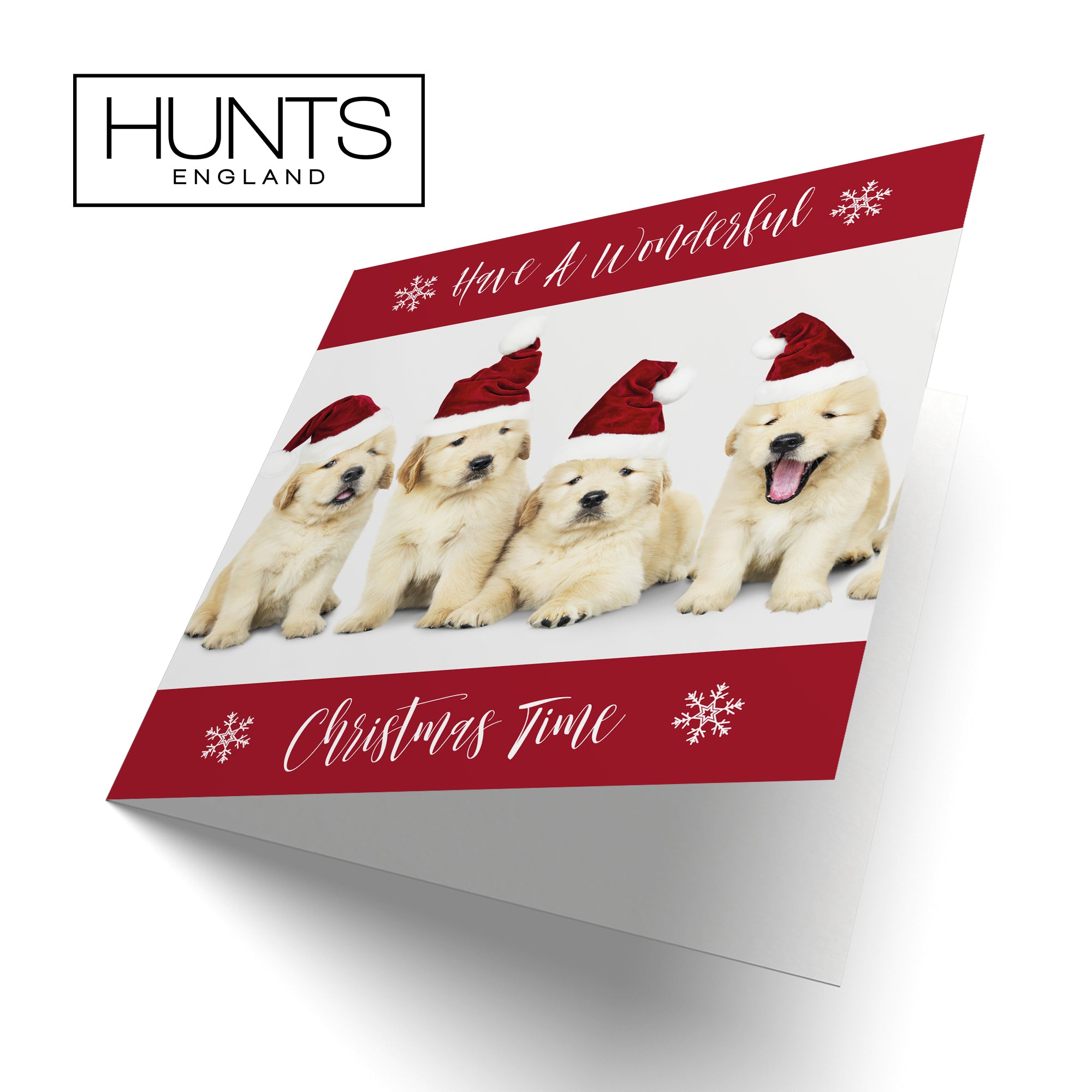 Puppy Pack Of 10 Christmas Cards And Envelopes