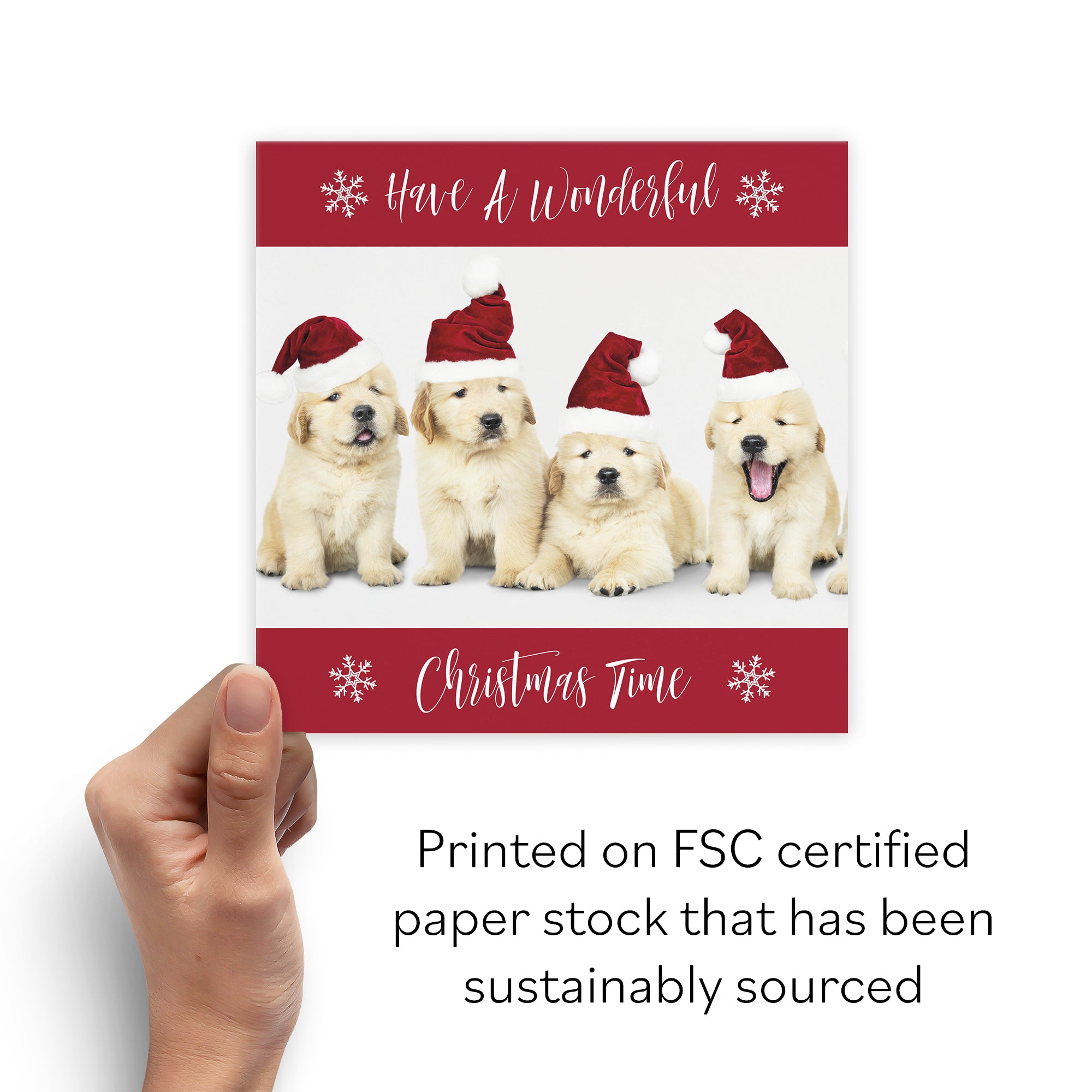 Puppy Pack Of 10 Christmas Cards And Envelopes