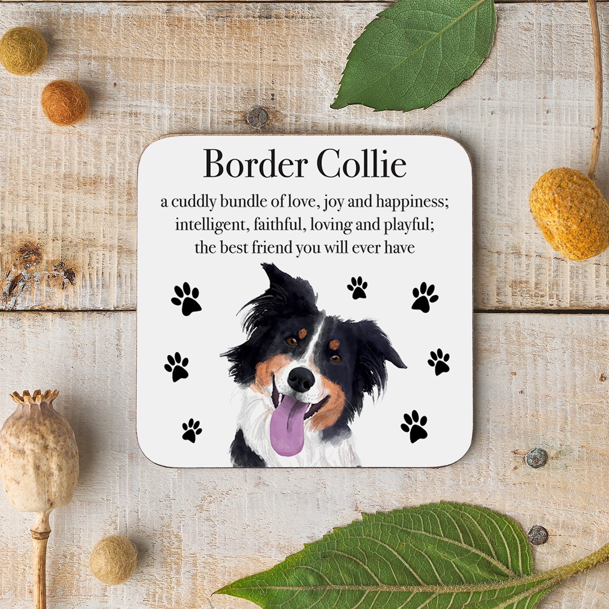 Hunts England Border Collie Dog Drinks Coaster Iconic