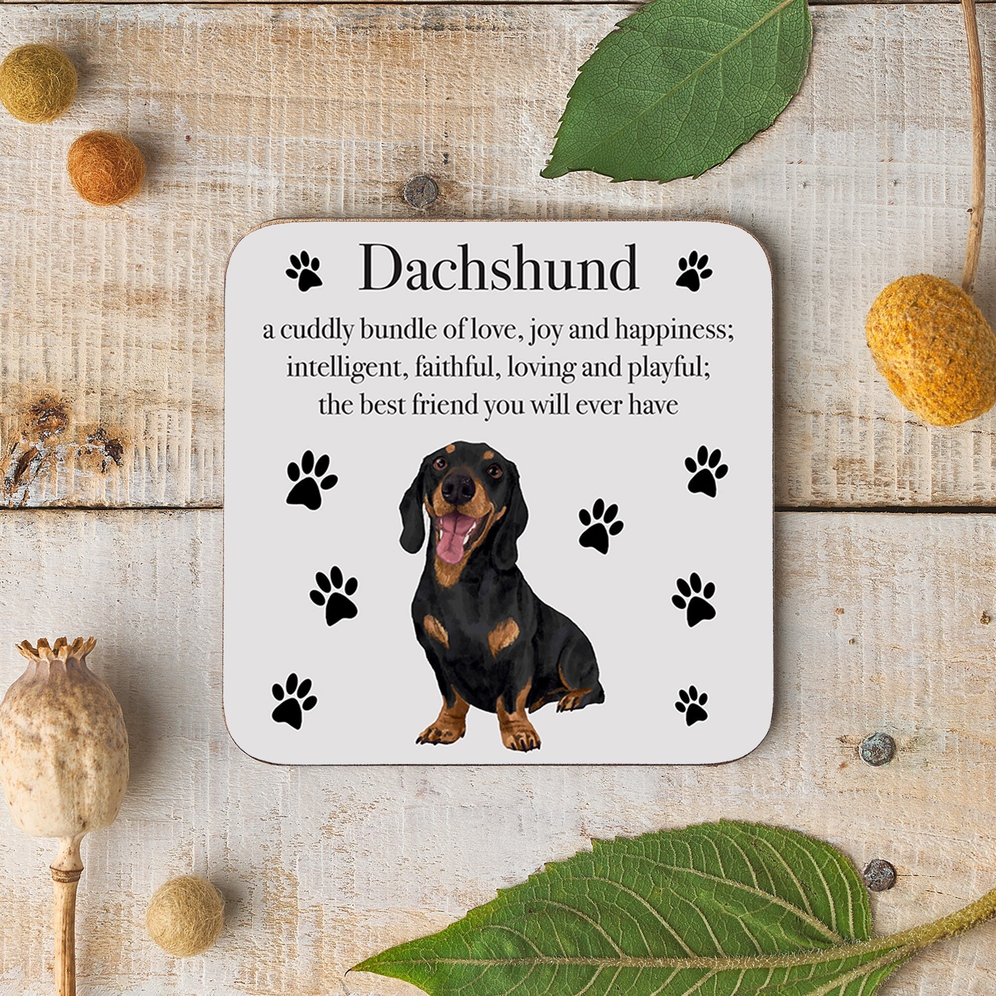 Hunts England Dachshund Dog Drinks Coaster Iconic
