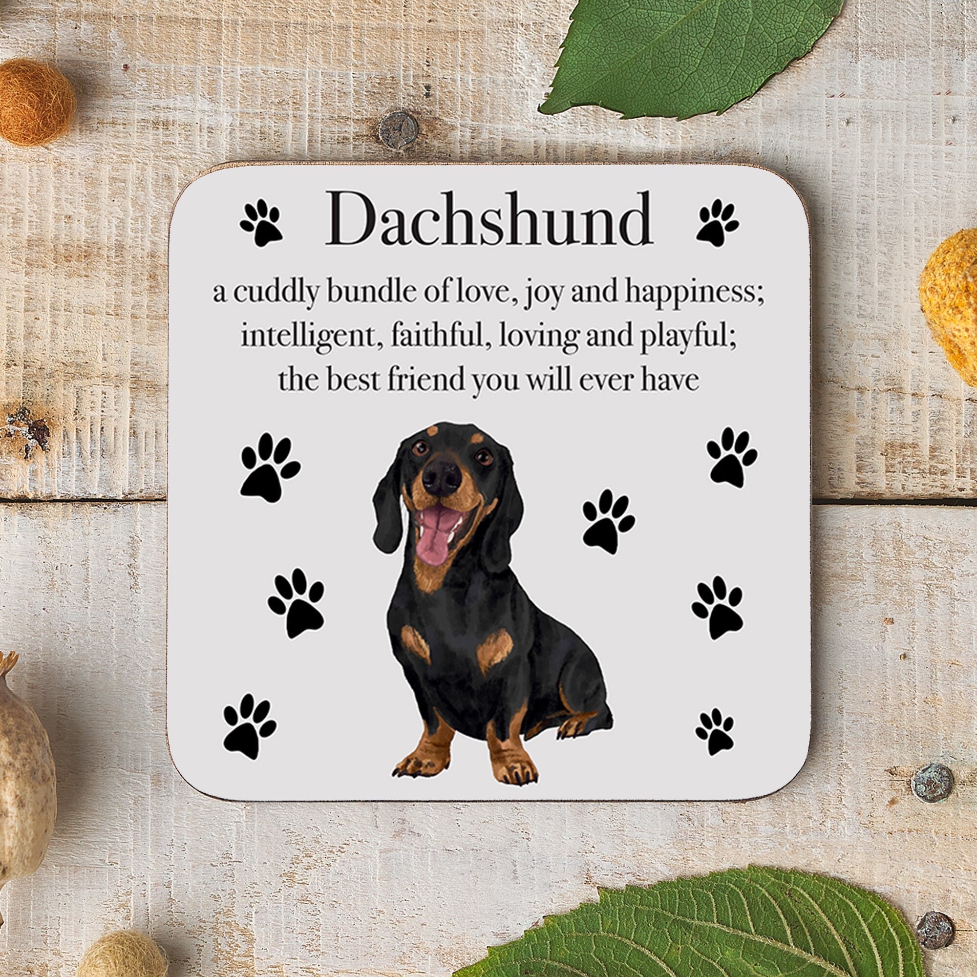 Hunts England Dachshund Dog Drinks Coaster Iconic