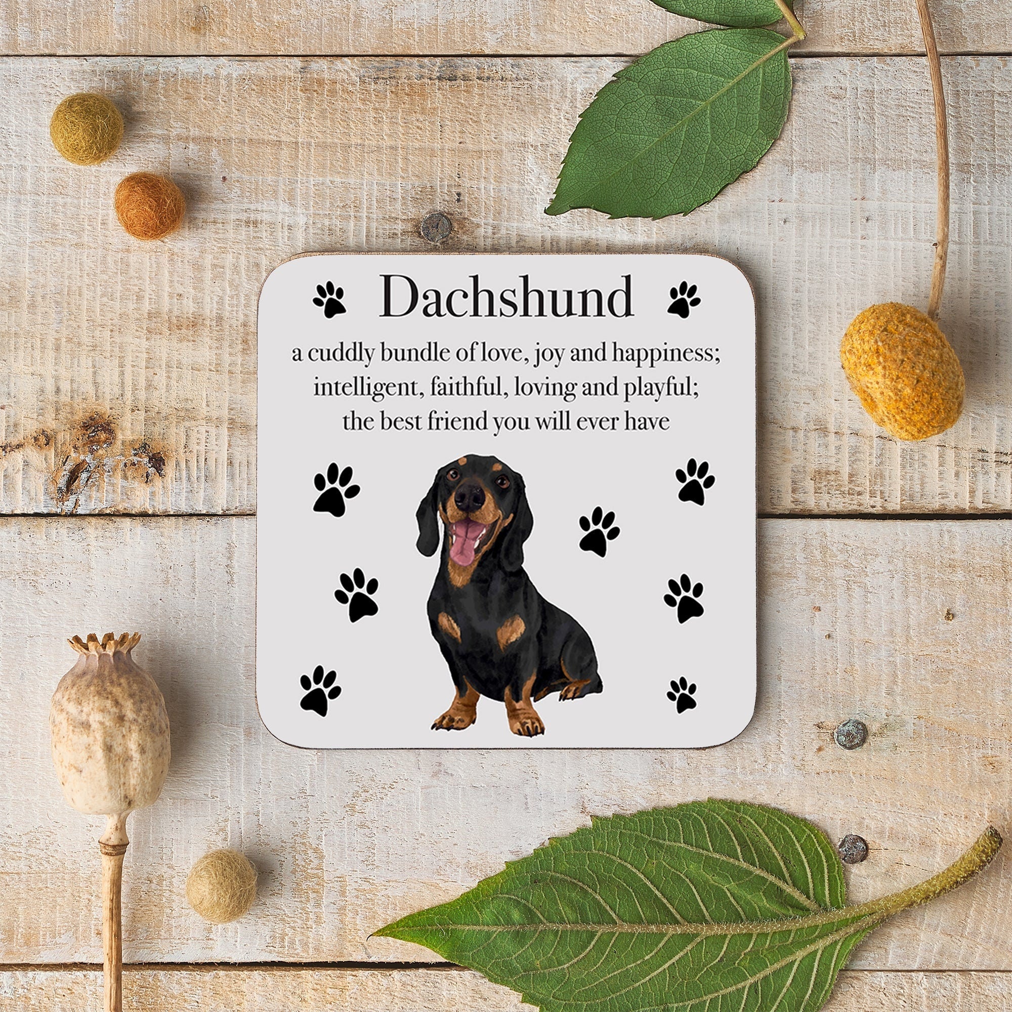 Hunts England Dachshund Dog Drinks Coaster Iconic