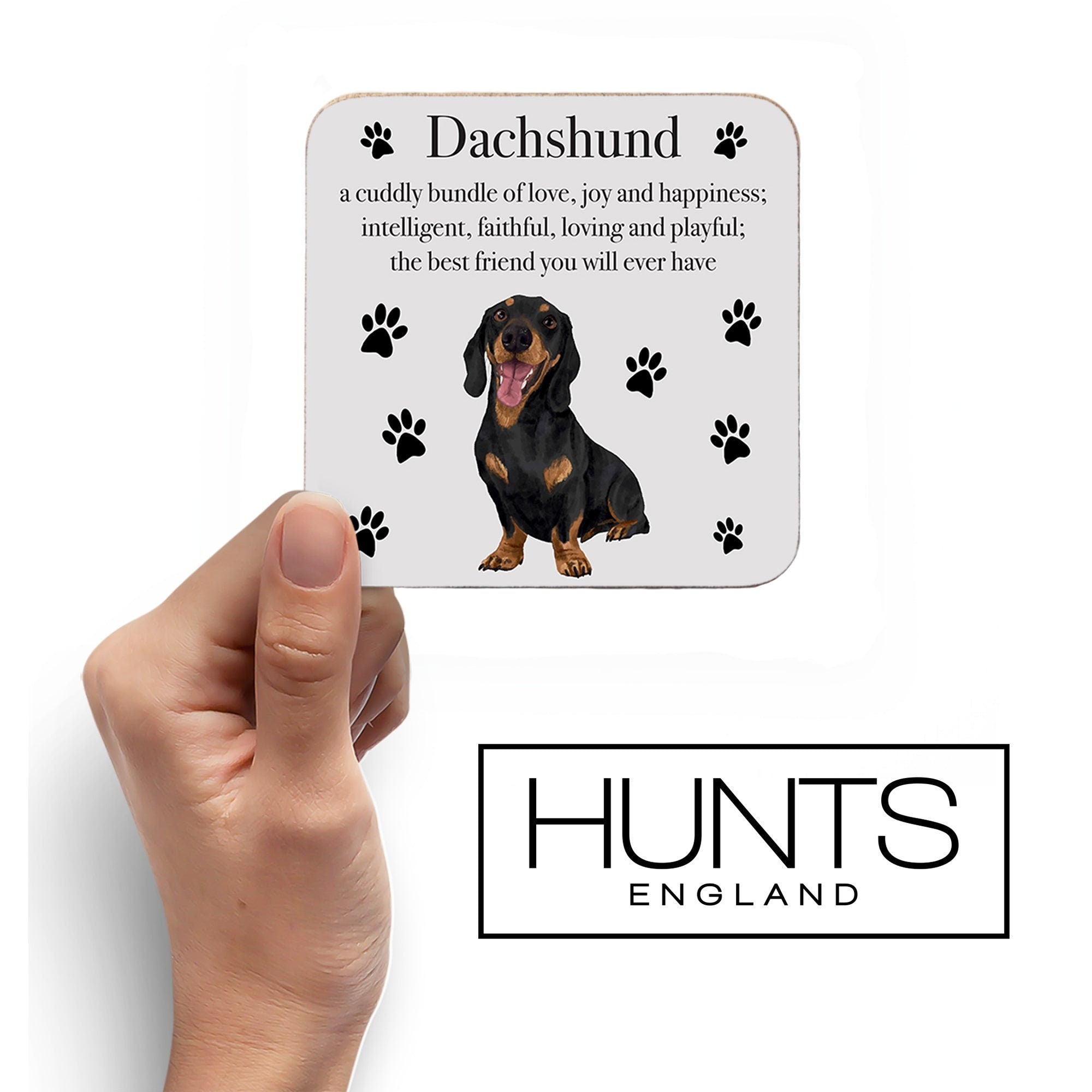 Hunts England Dachshund Dog Drinks Coaster Iconic